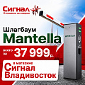 Шлагбаумы Mantella за 38000р. Шлагбаумы Mantella за 38000р.